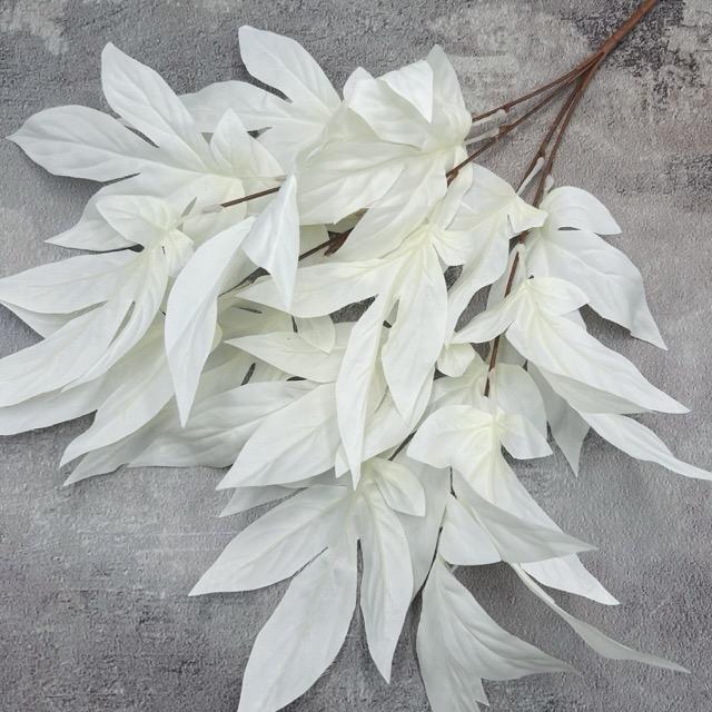 Загружен программно: img_2357_-_sredniy_razmer.jpeg