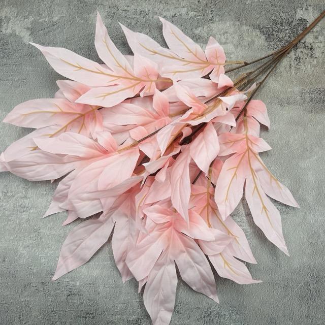 Загружен программно: img_2359_-_sredniy_razmer.jpeg