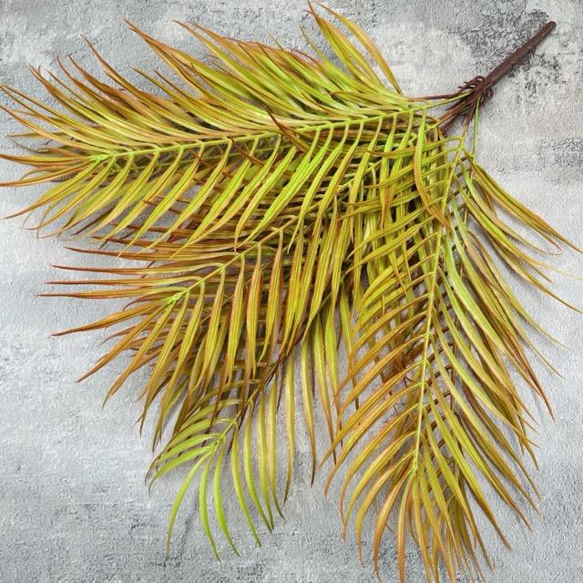 Загружен программно: img_2398_-_sredniy_razmer_0.jpeg