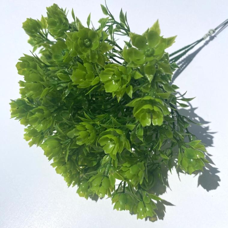 Загружен программно: img_2437_2_0.jpg