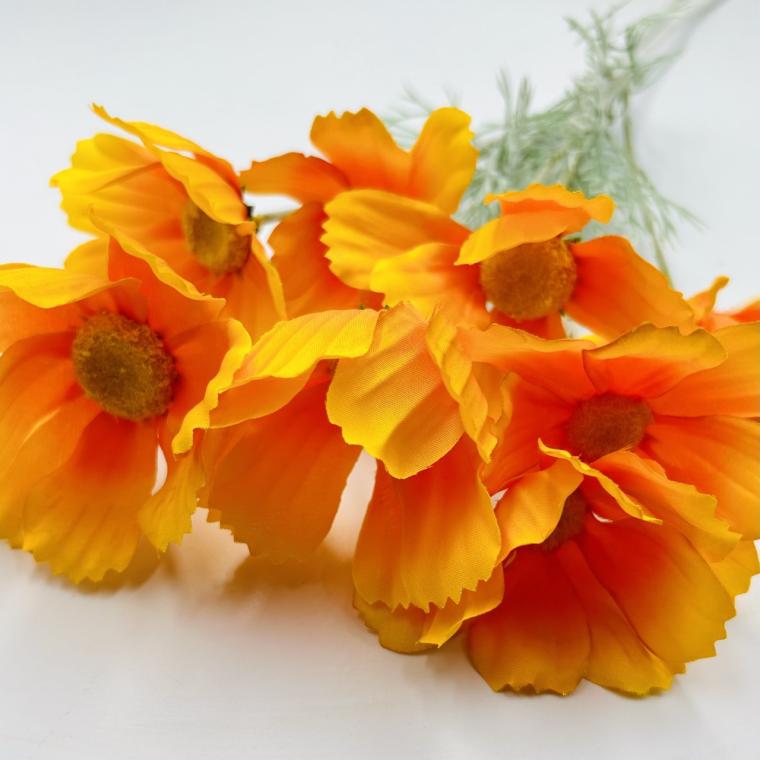 Загружен программно: img_2660_-_krupnyy_razmer.jpeg