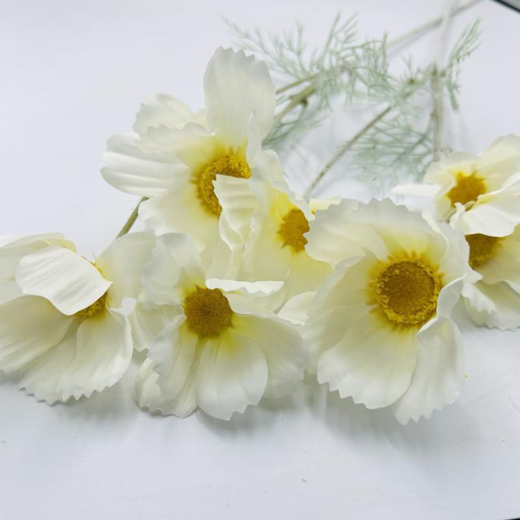 Загружен программно: img_2665_-_krupnyy_razmer.jpeg