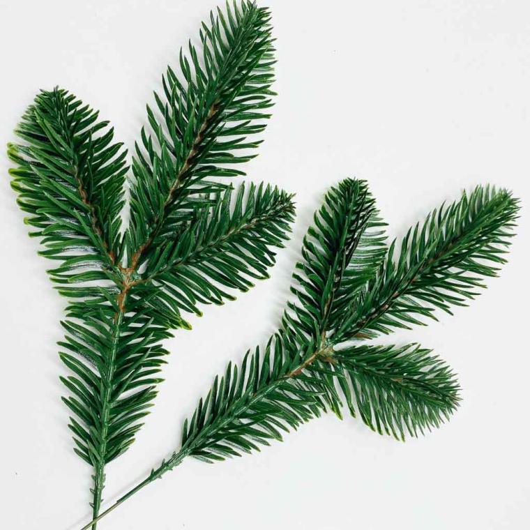 Загружен программно: img_2782.jpg