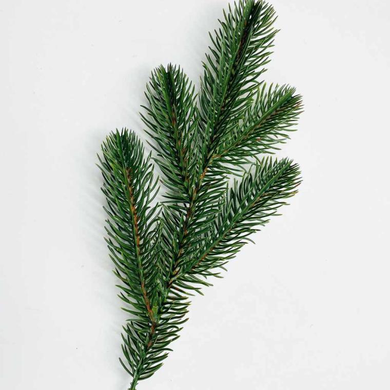 Загружен программно: img_2783.jpg