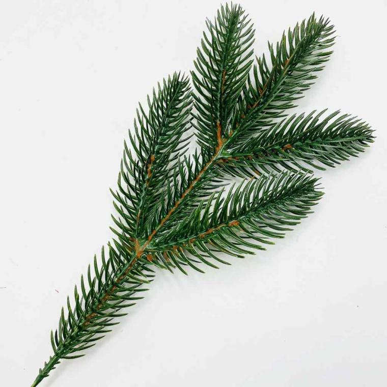 Загружен программно: img_2788.jpg