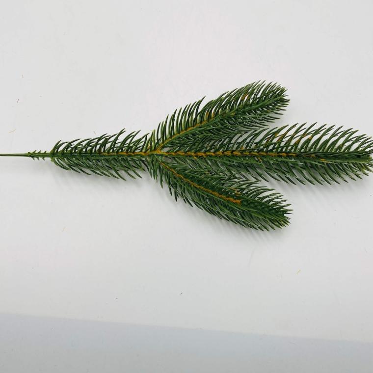 Загружен программно: img_2831_2.jpg