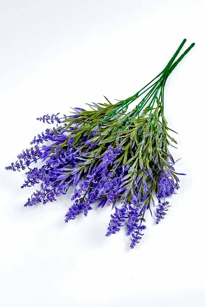 Загружен программно: img_2996_0.jpg