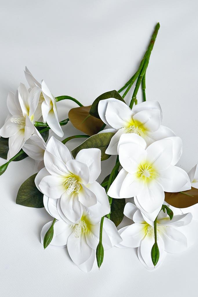 Загружен программно: img_3185.jpg