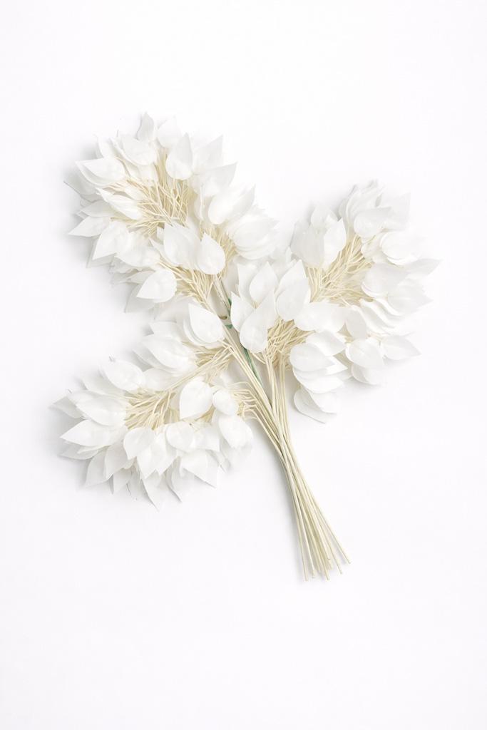 Загружен программно: img_3371.jpg