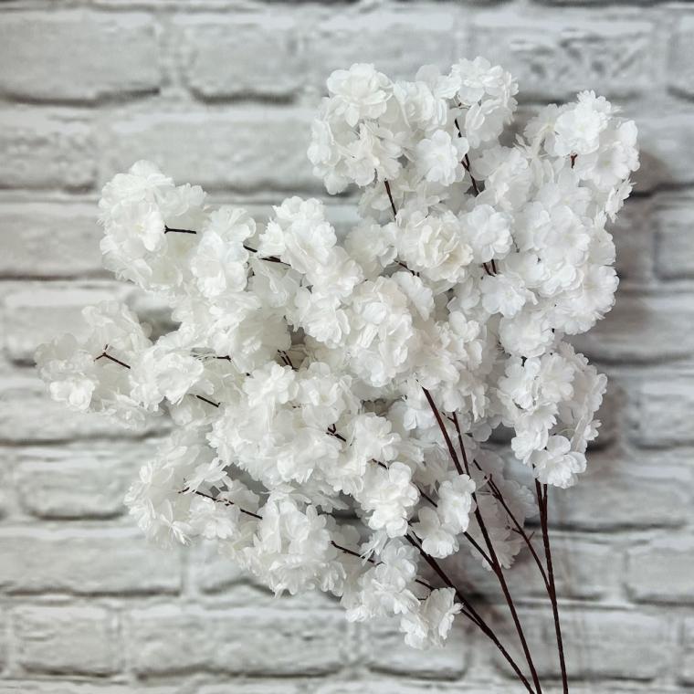 Загружен программно: img_3514_0.jpg