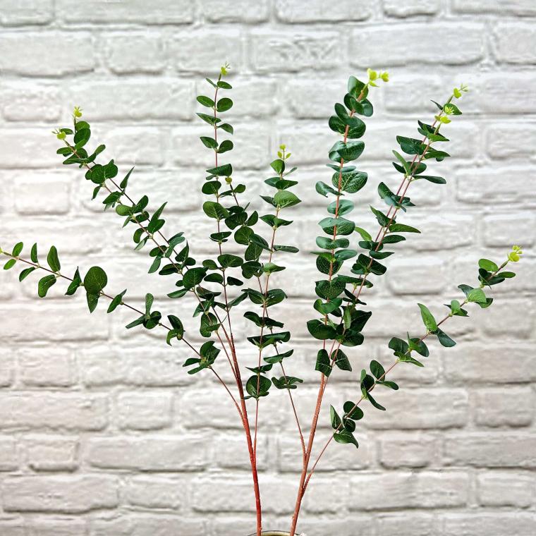 Загружен программно: img_3536.jpg