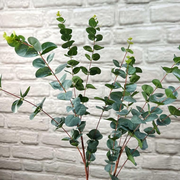 Загружен программно: img_3544.jpg