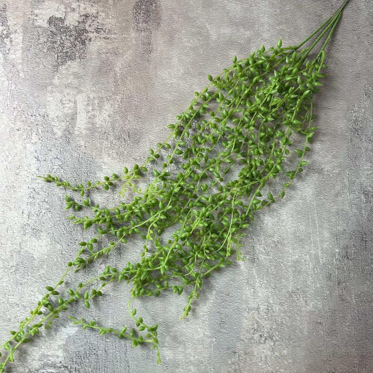 Загружен программно: img_3682.jpg