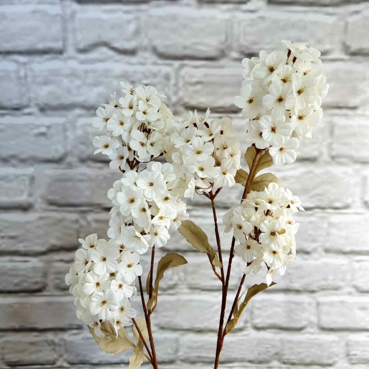 Загружен программно: img_3882.jpg