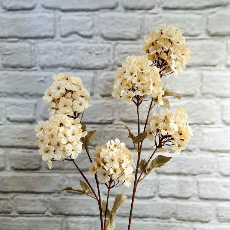 Загружен программно: img_3885.jpg