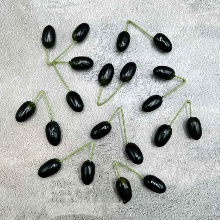 Загружен программно: img_3921.jpg