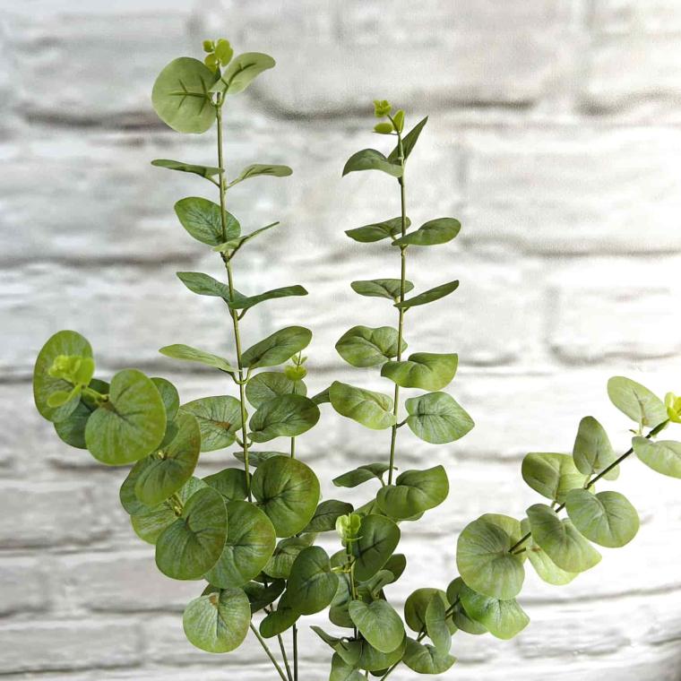 Загружен программно: img_3952.jpg