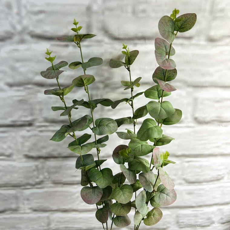 Загружен программно: img_3966.jpg