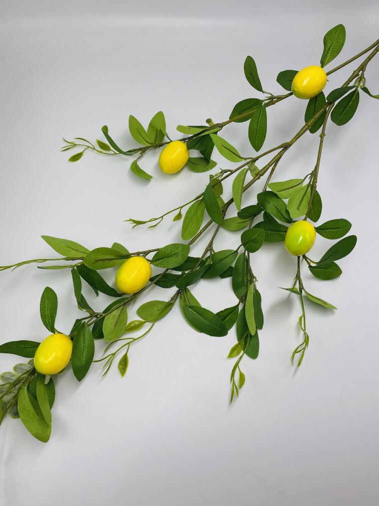 Загружен программно: img_4113.jpg