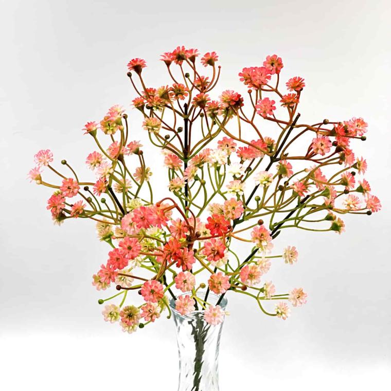 Загружен программно: img_4638.jpg