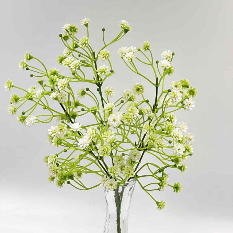 Загружен программно: img_4640.jpg