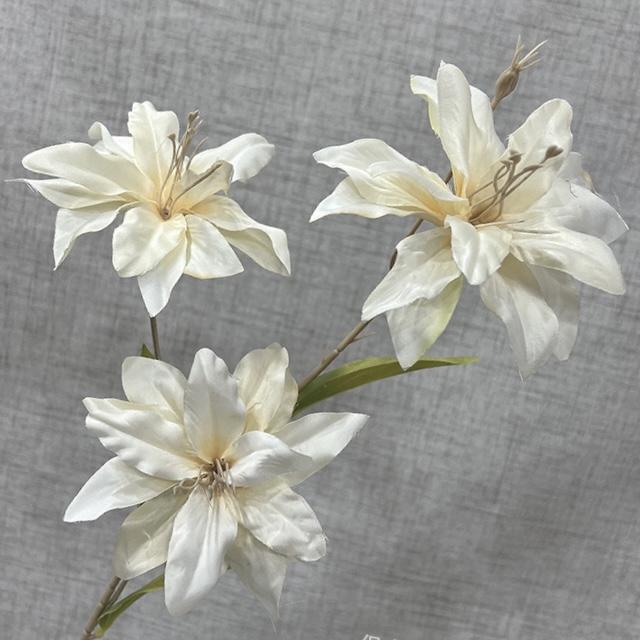 Загружен программно: img_5611.jpeg