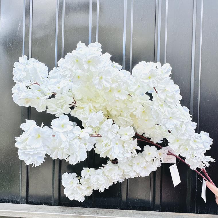 Загружен программно: img_5954.jpeg