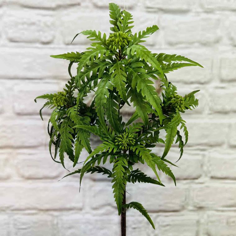 Загружен программно: img_5971.jpg