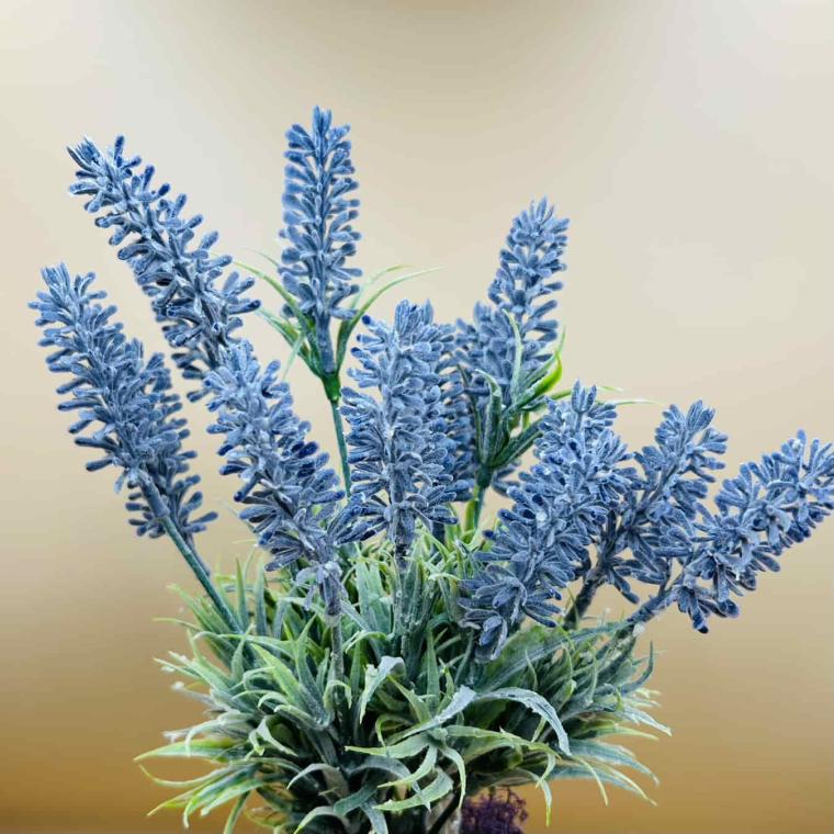 Загружен программно: img_6024.jpg