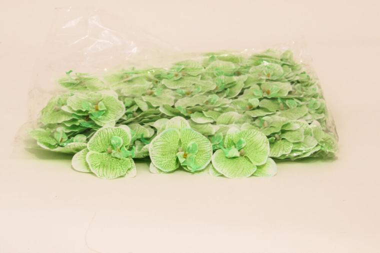 Загружен программно: img_6469.jpg