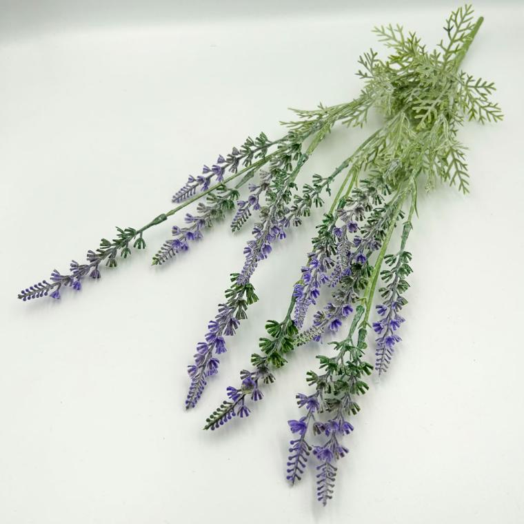 Загружен программно: img_6481_0.jpg