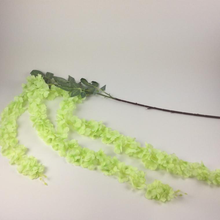 Загружен программно: img_7036.jpg