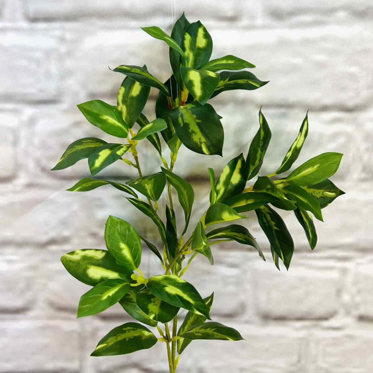 Загружен программно: img_7174.jpg