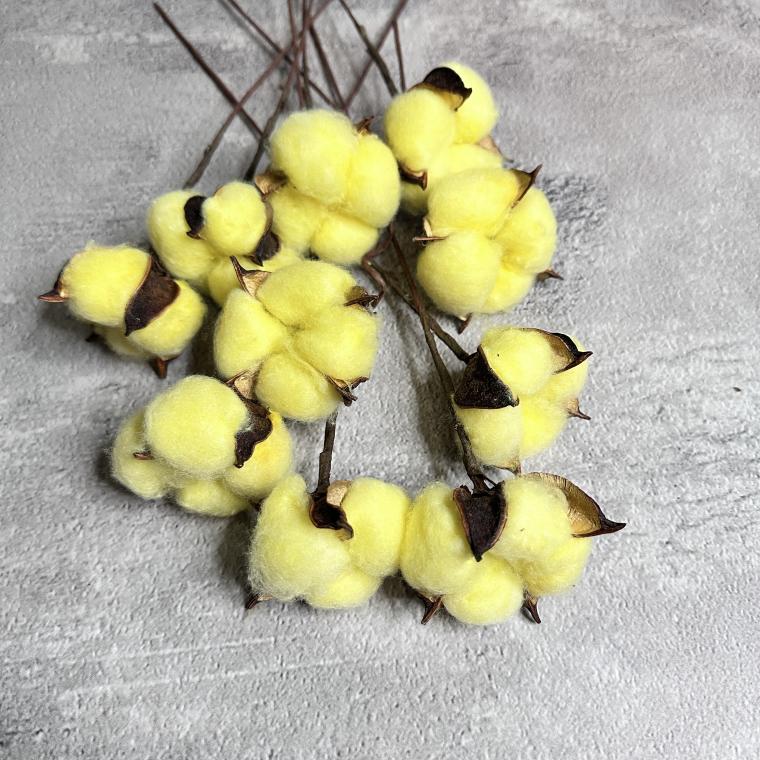 Загружен программно: img_7376.jpeg