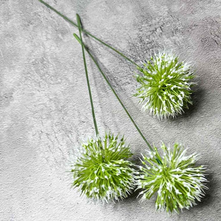 Загружен программно: img_7721.jpg