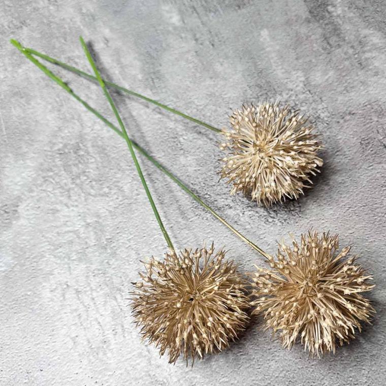 Загружен программно: img_7726.jpg