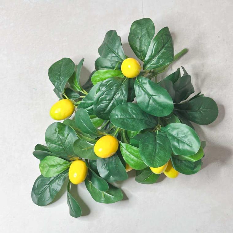 Загружен программно: img_7898.jpg