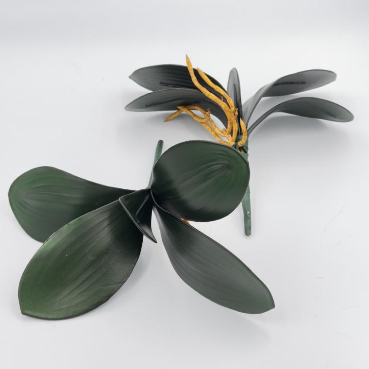 Загружен программно: img_8398_0.jpeg