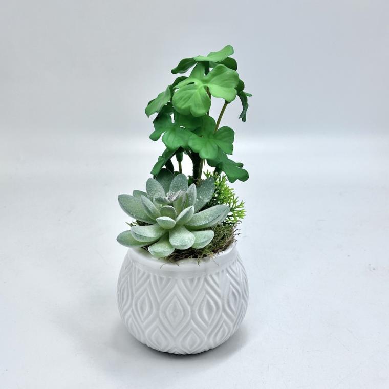 Загружен программно: img_8470_0.jpg