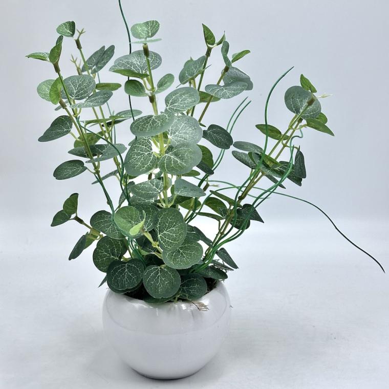 Загружен программно: img_8478.jpg