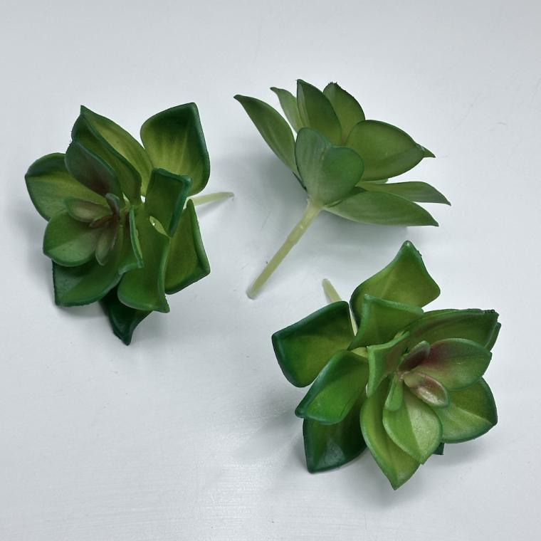 Загружен программно: img_8494.jpg