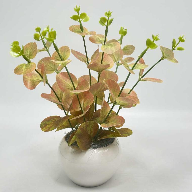 Загружен программно: img_8676_0.jpg