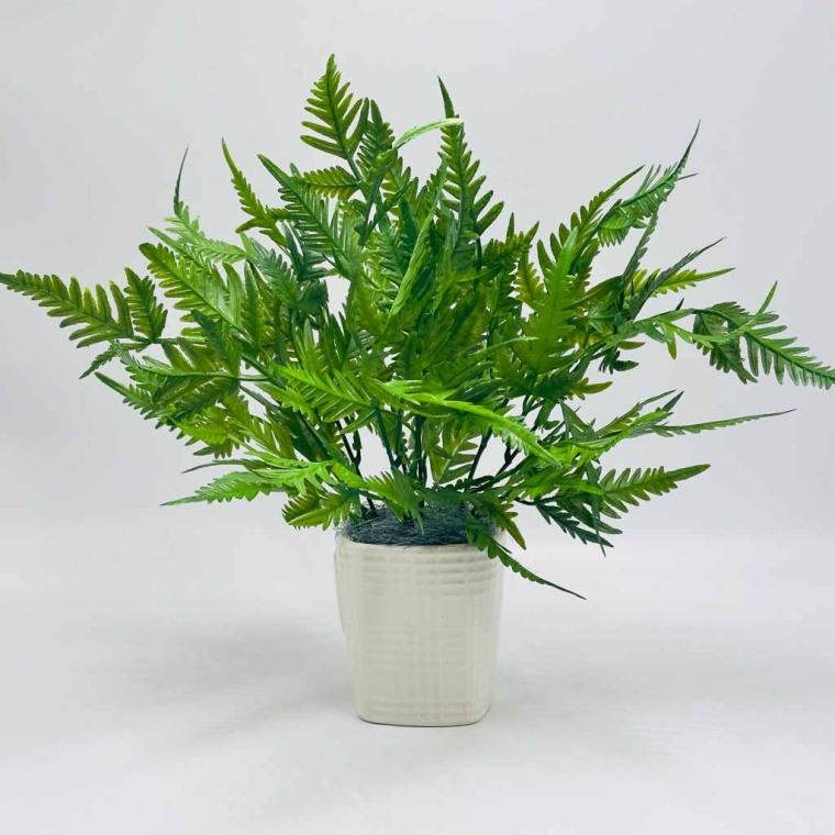 Загружен программно: img_8975.jpg