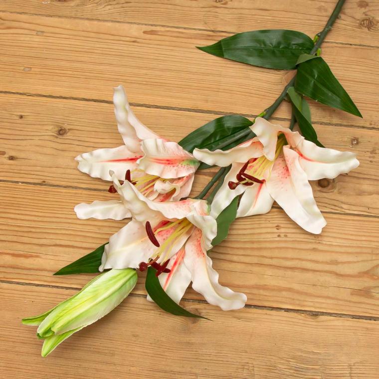 Загружен программно: img_9529.jpg