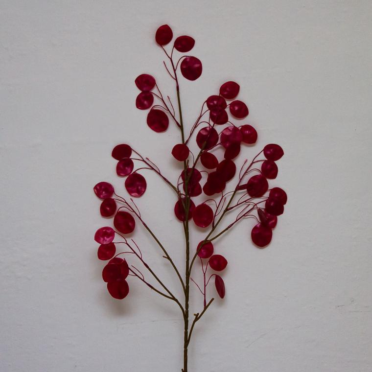 Загружен программно: img_9596.jpg