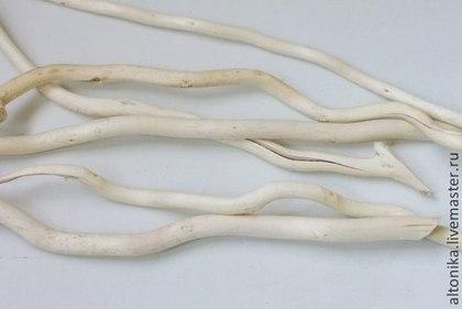 Загружен программно: saleks_osnova_dlya_topiariya.jpg