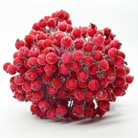 Загружен программно: yagoda_v_sahare_krasnaya.jpg