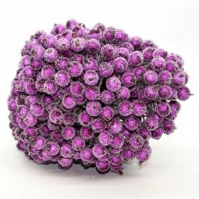 Загружен программно: yagoda_v_sahare_serenevaya.jpg