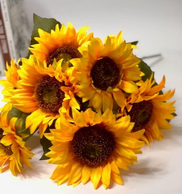 Загружен программно: 07c492b3-cc9d-4234-bf2b-1b5c203fe22f.jpeg