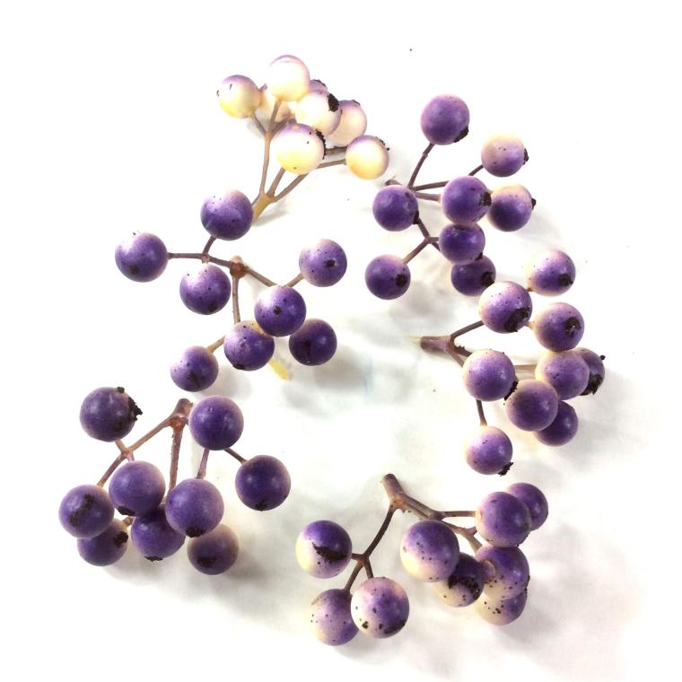 Загружен программно: 0d2cc8e6-67c9-4a65-ac7f-7a8ee9d14fa8.jpeg